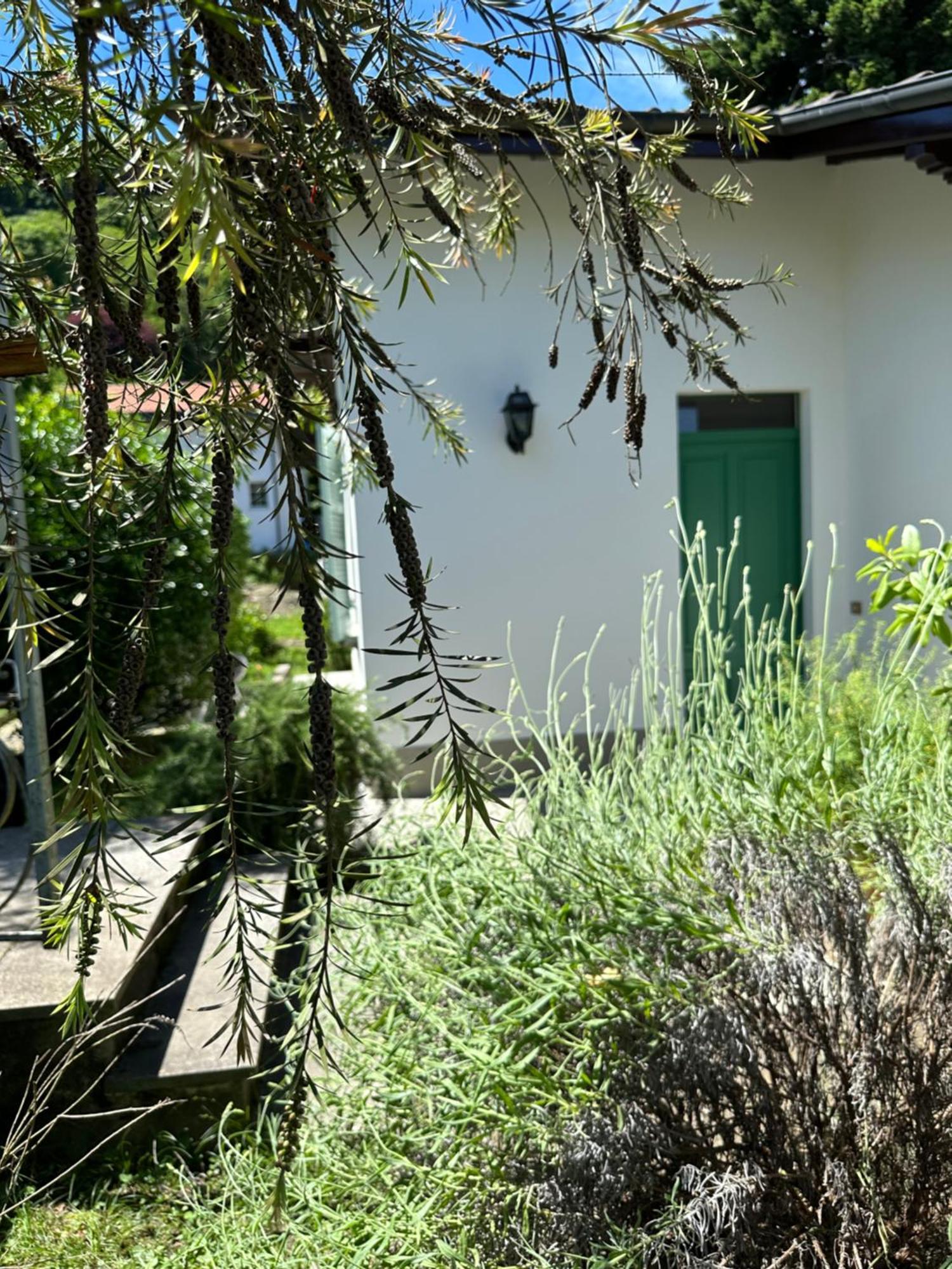 Casa Del Custode: Renovated Flat With Garden In A Villa Near The Lake 斯特雷萨 外观 照片